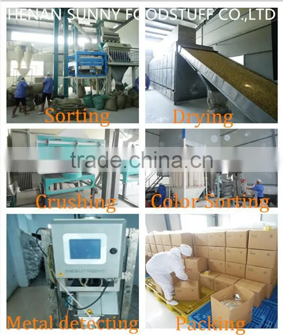 Dehydrated Garlic Extract Powder