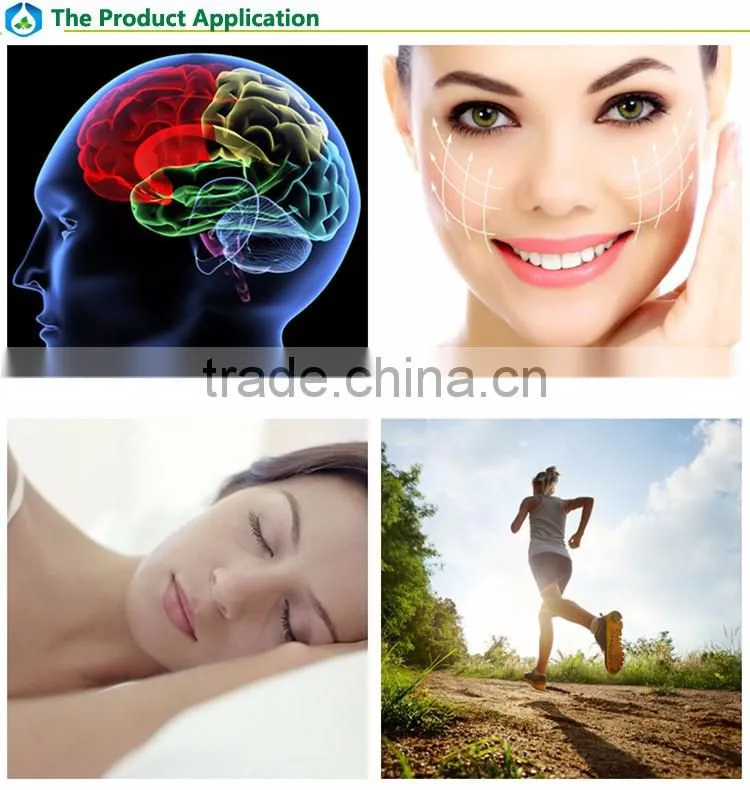 High quality food grade Gamma Aminobutyric Acid