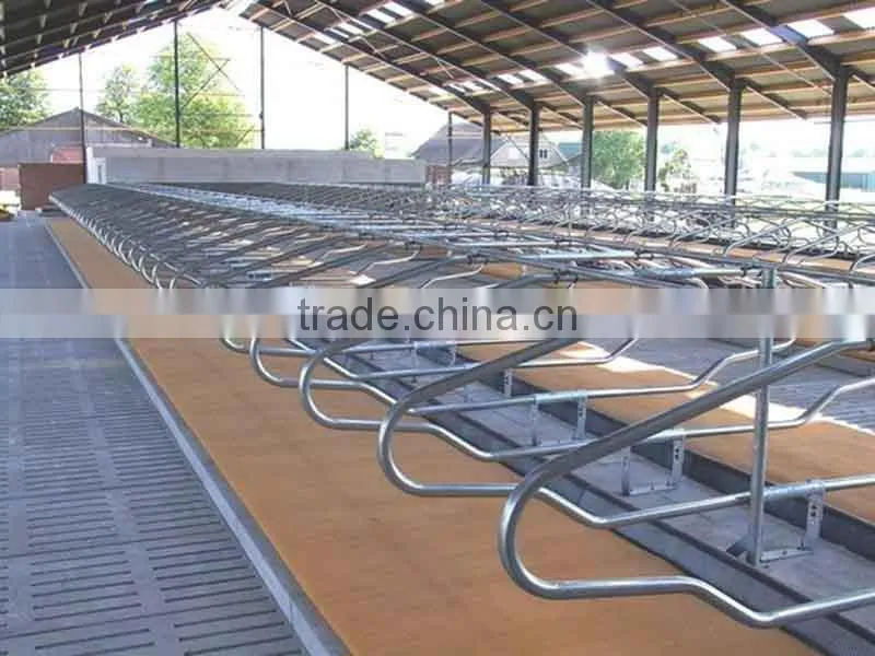 Cattle Farm Cattle Free Stall