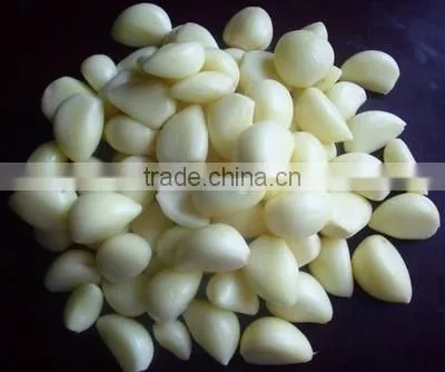 Automatic garlic separating machine/ garlic separator