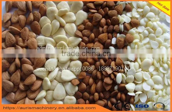 Almond hazelnut apricot kernal peeling and shelling machine