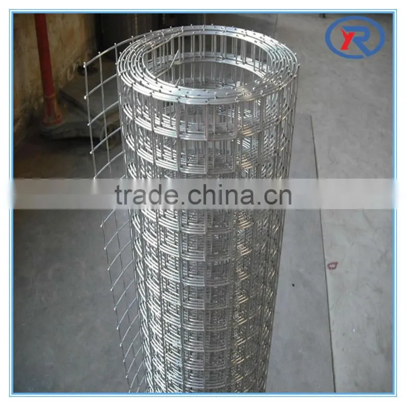 best selling products Welded mesh for made in china/galvanized welded iron wire mesh/galvanized after welding cloth