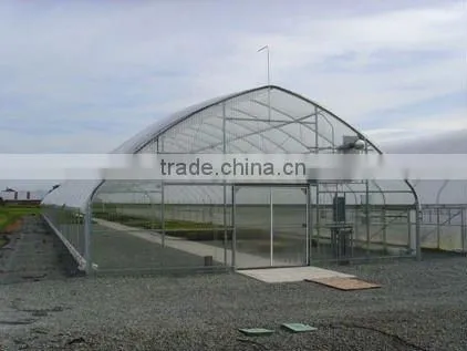 Gothic Type Polycarbonate Greenhouse