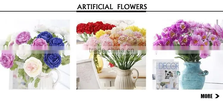Wholesale succulent ceramic plant pots colorful plastic wholesale flower pots