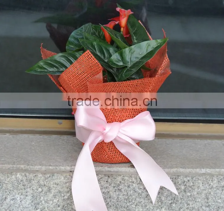 PE coated Plant pot cover/planter decorative pot covers
