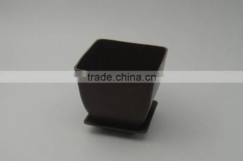 color biodegradable pots with matching tray