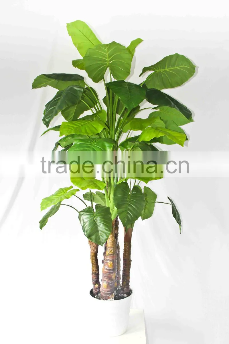Oramental green bonsais