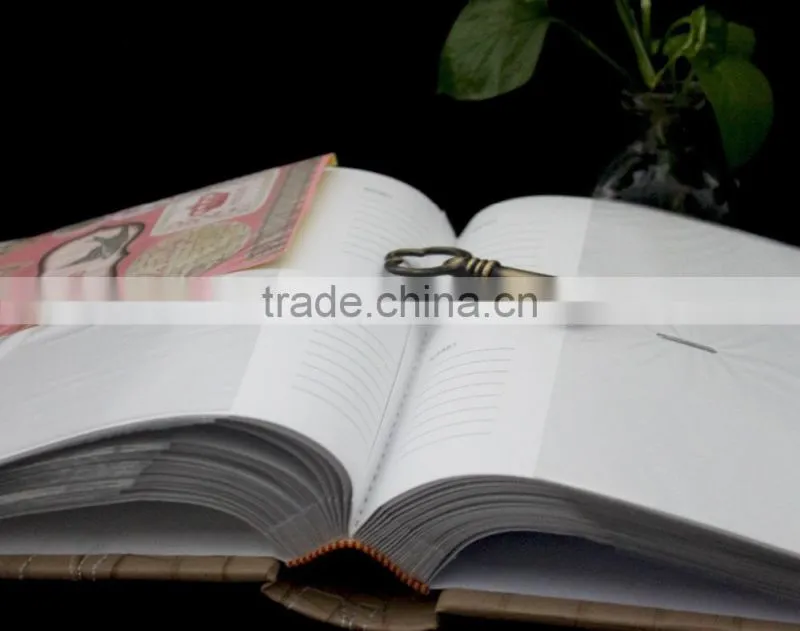 Hardcover book style flush mount album for wedding photo albums 2016 fashion christmas alibaba china supplier