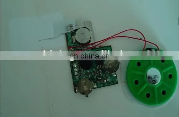 good quality voice recorder chip circuit
