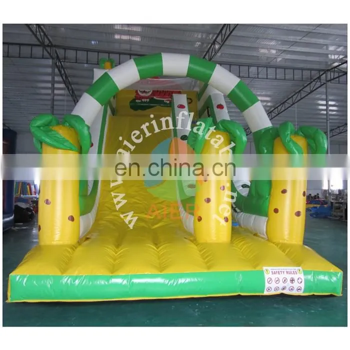 Commercial grade tiger inflatable dry slide