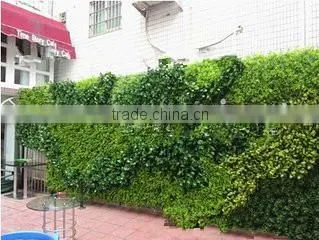 high quality indoor & outdoor artificial vertical green plants wall artificial decorative green wall