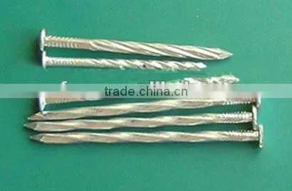 galvanized twisted shank nails factory
