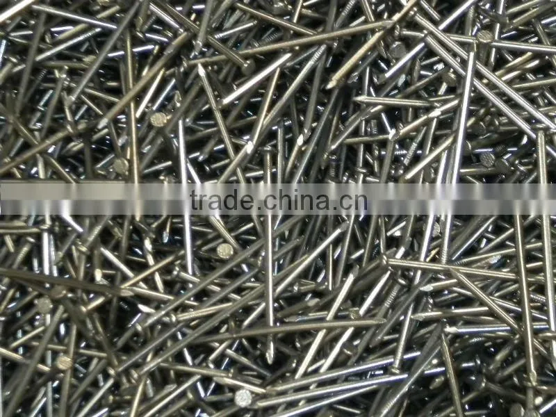 polished carbon steel common nails with smooth shank