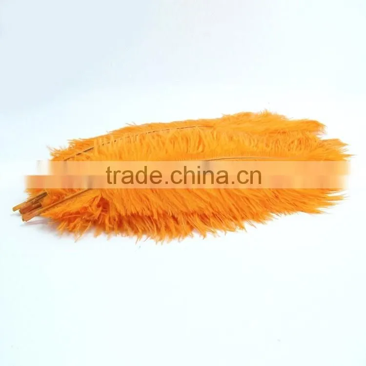 Big Sizes China hot sale ostrich plumage