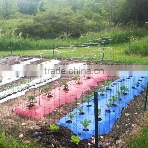 clear mulch film in rolls,plants growing anti weed film,LLDPE mulching film