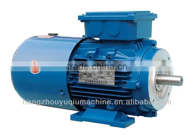 IE2 High Efficiency Three Phase Electric Motor
