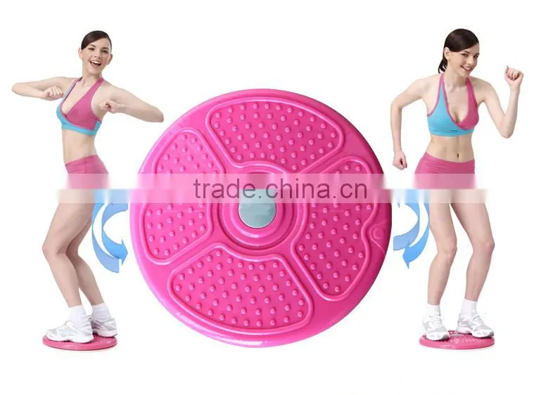 Power Twist Disk/ Gym Equipment/ Rack
