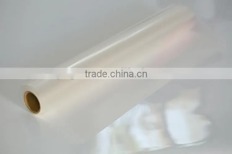 Polaroid Plastic Matte PET Film