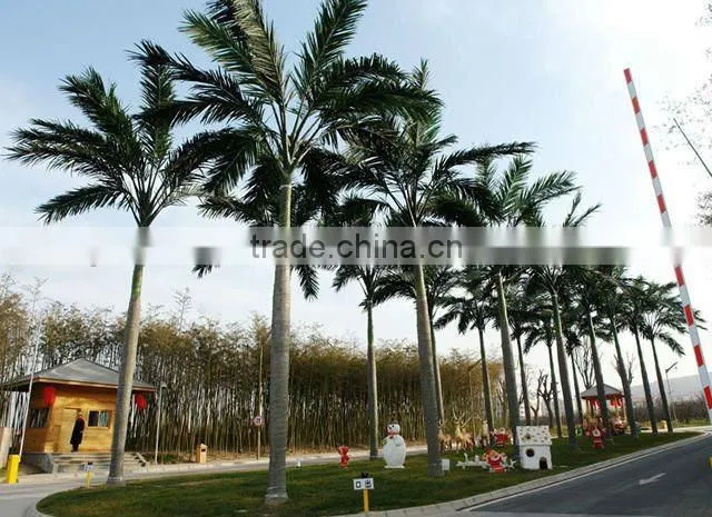 Grand Artificial Royal coconut tree
