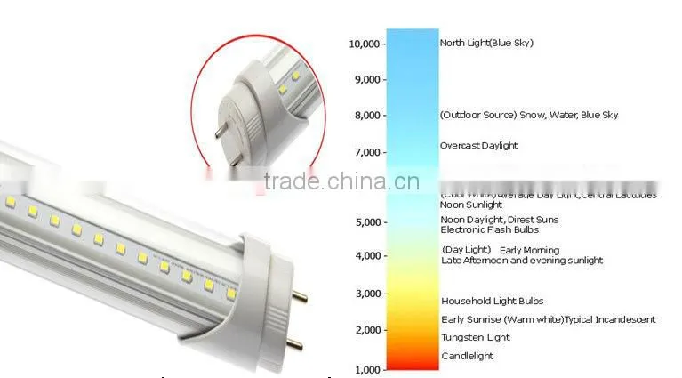 2013 New Tube8 LED Light Tube LED Tube