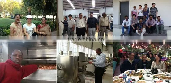 New Designed Commercial Peanut Wet Blancher