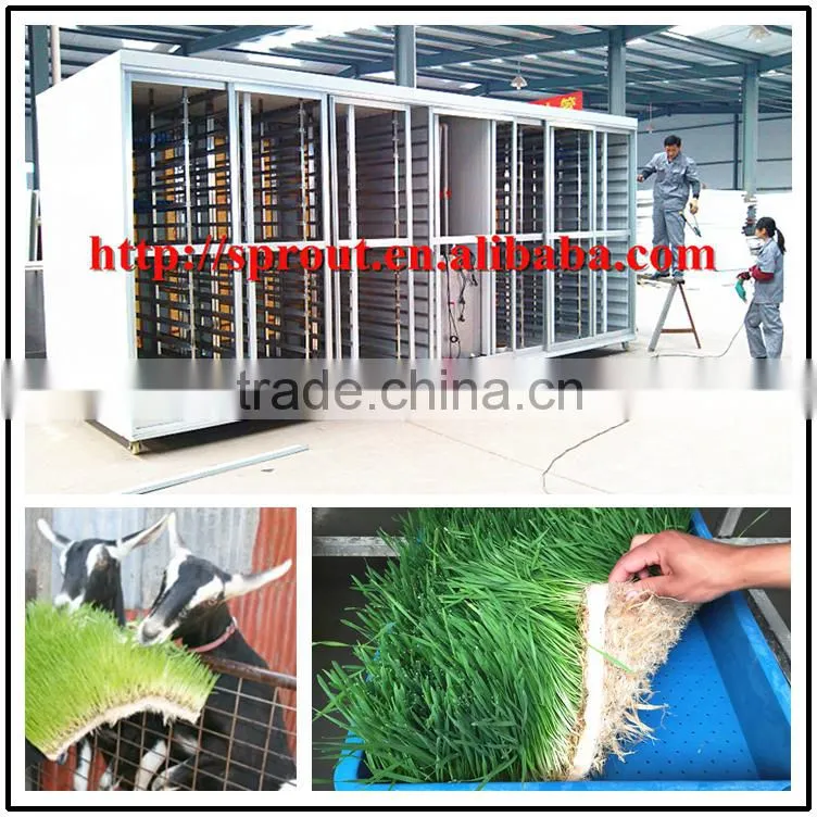 Hydroponics Animal Fodder bean sprout machine/oat sprouting machine/ bean sprout growing machine on sale