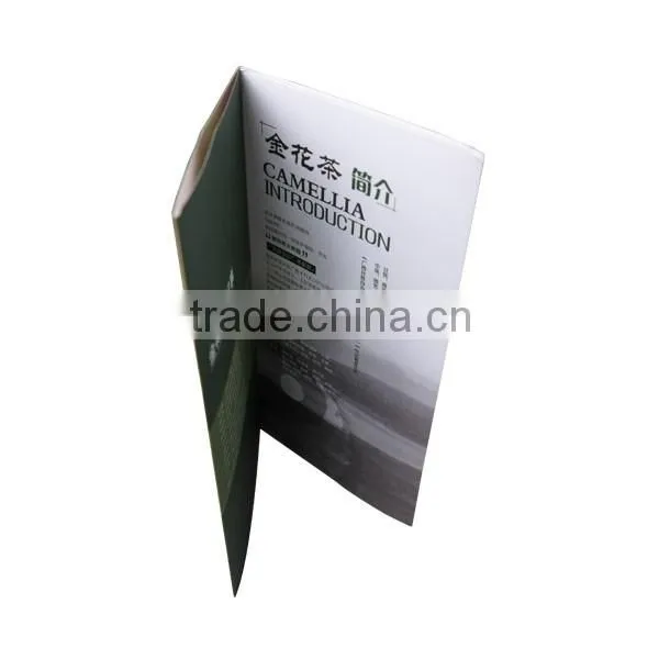 OEM Guangzhou factory high quality offset printing booklet printing