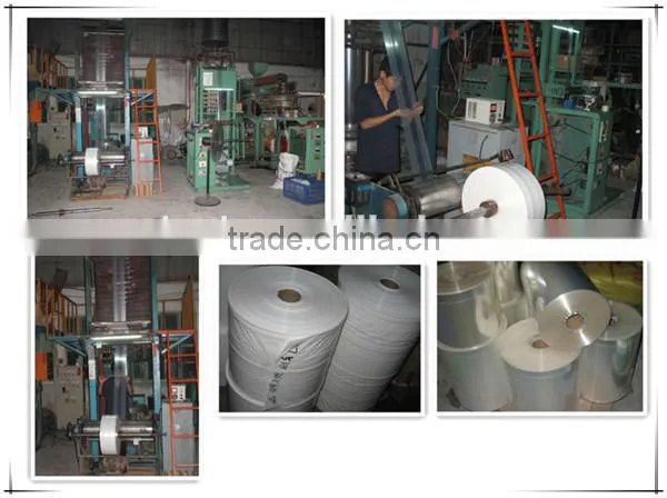 Nylon & PE Back Center Heat Sealed Vacuum Bag With Euro Slot