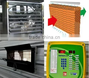 chicken layer cage