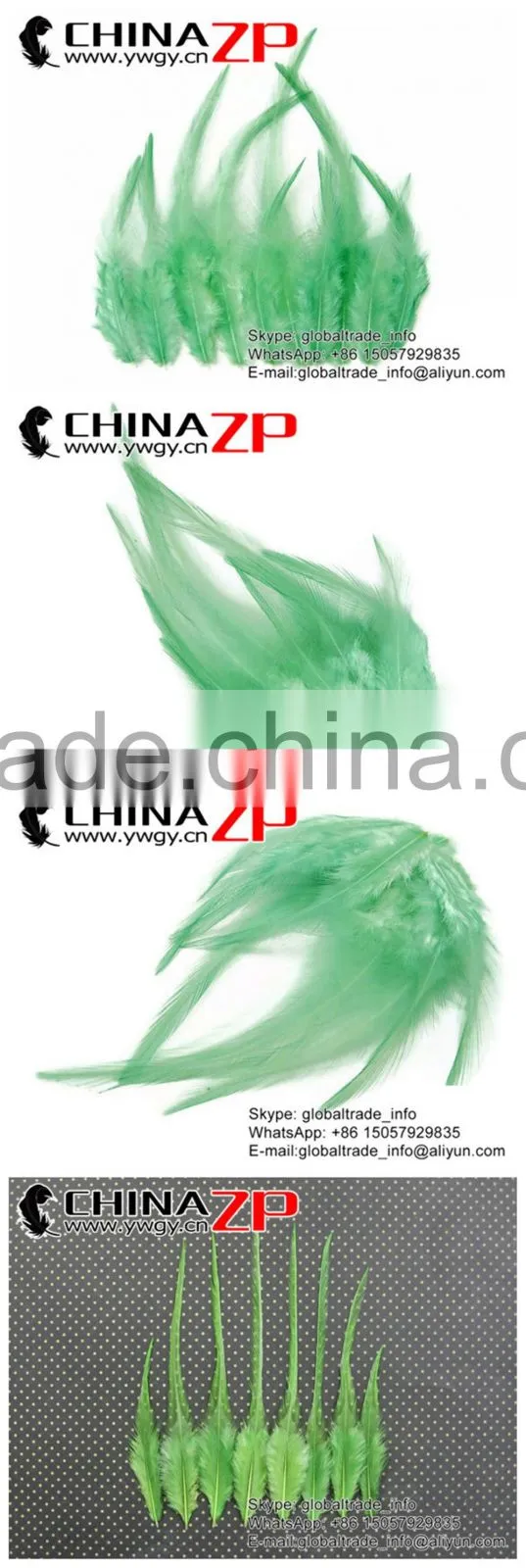 Top Supplier ZPDECOR Wholesale Good Quality Cheap Dyed Aqua Chicken Rooster Saddle Feathers for Show