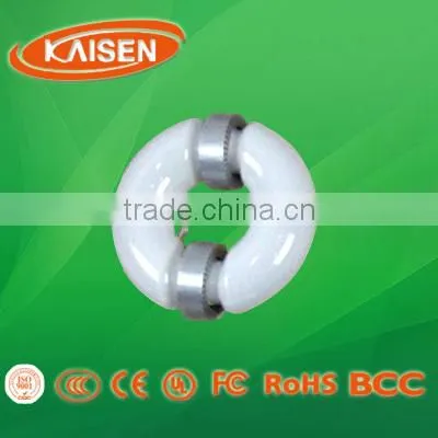2015 40w jiangsu professional lighting lvd induction lamp wall light
