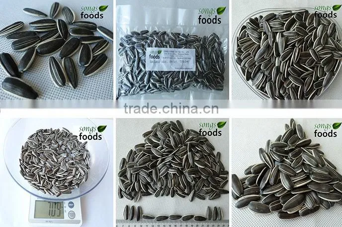 Export Of Agriculture Products