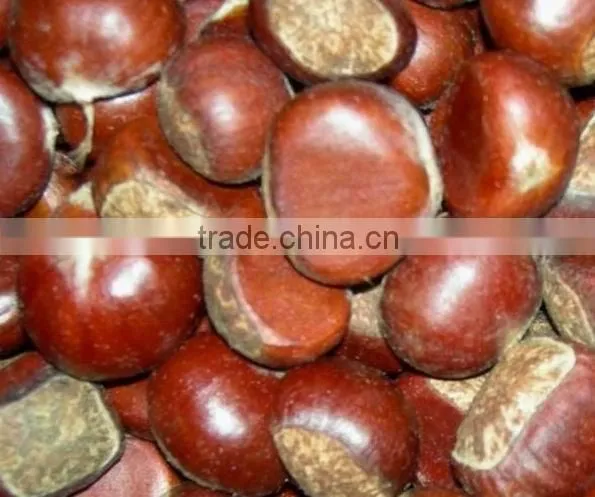 frozen Chestnut kernel grade AA sweet nuts