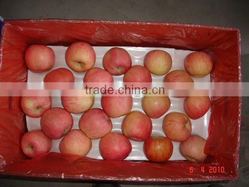 Top grade fuji apple