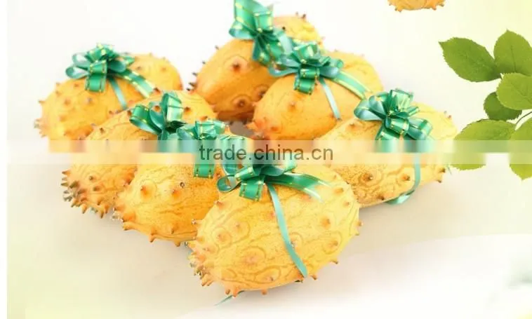 Hedged gourd Melano Kewana Cucumis metuliferus Seeds