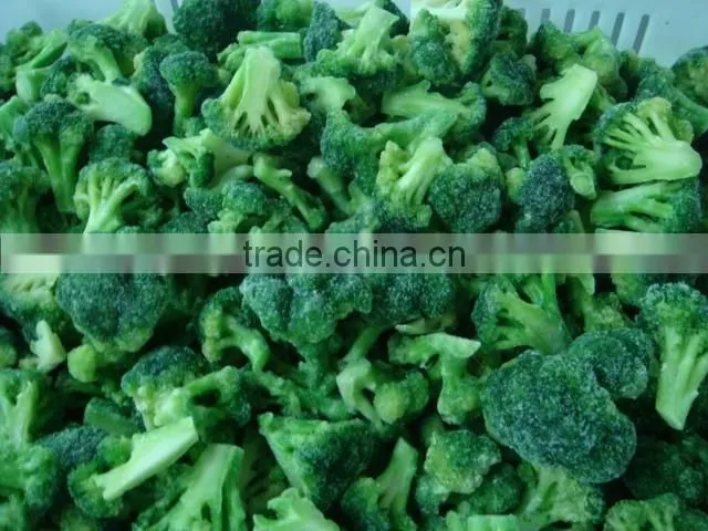Frozen vegetable broccoli 3-5cm IQF Broccoli/Brocoli/ Brokkoli