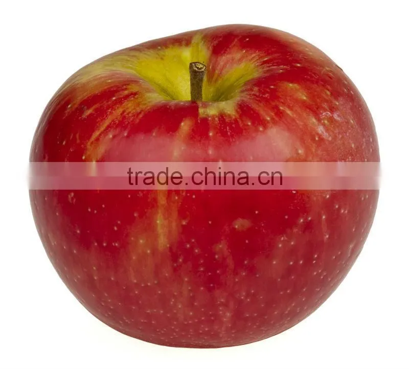 MSDS Vinegar Apple Cider Vinegar Bottles