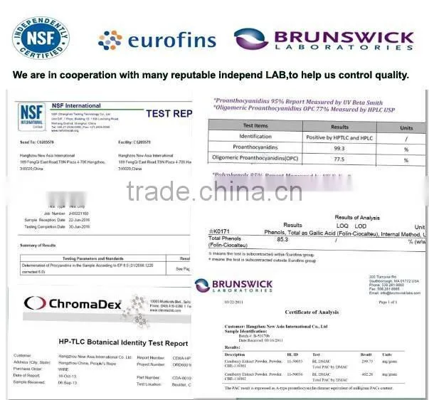 Pure Maca Powder Water Soluble Extract Ratio 4:1,Macamides 10% 40% HPLC
