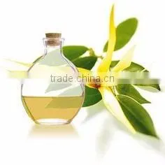 CANANGA JAVA OIL