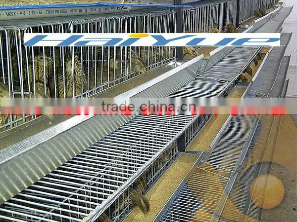 Automatic drinker Quail farming equipment