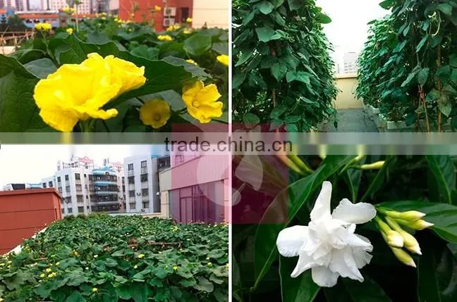 Veranda greening space magic planting pot