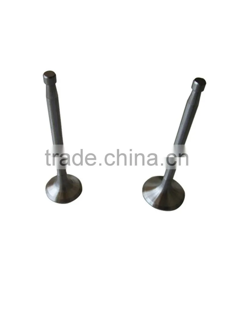 S1105 Engine inlet and outlet valve for small tractors