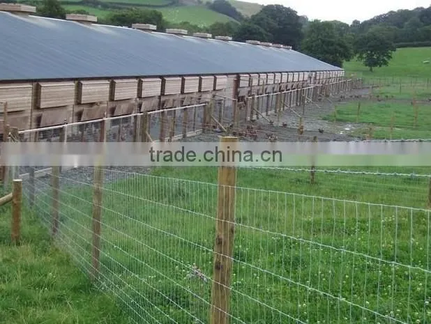 Galvanized steel deer fence, deer farm fencing, deer fencing sale (ISO 9001)