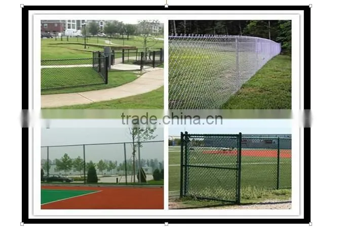 Competitive and hot sale chian link fence