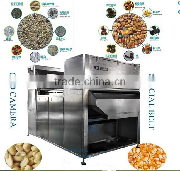 Corn Color Sorter Machine in China
