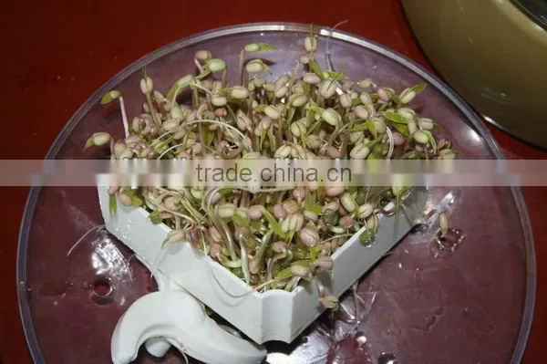 Automatic Bean Sprout Growing Machine, Model JL260A, CE certificate