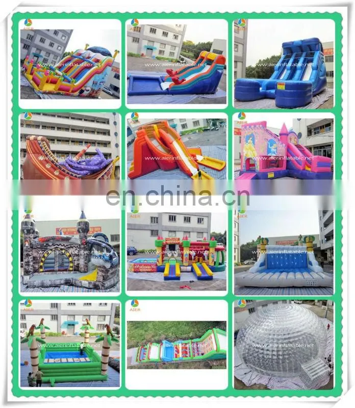 Inflatable Arch/chinese dragon inflatable arch,customized inflatable wedding decoration arch