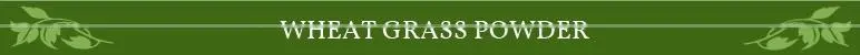 High Grade Wheat Grass Powder For OEM