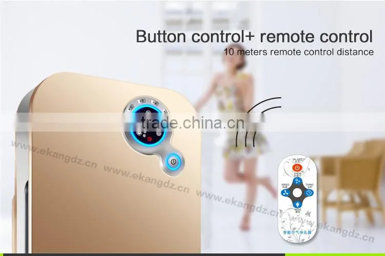 PM2.5 Air Purifier
