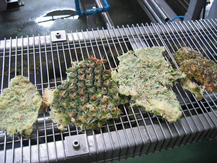 Pineapple Juice Making Plant Production Line